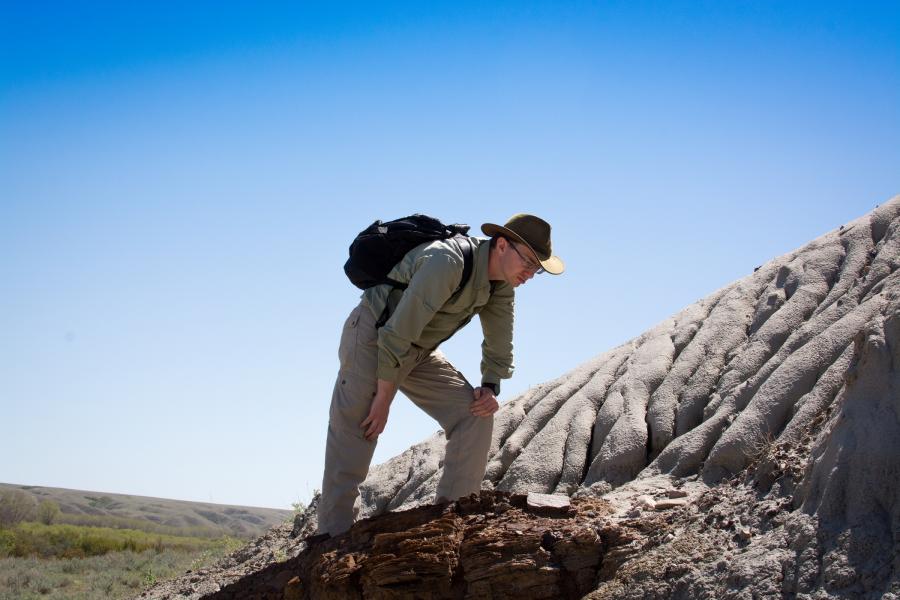 Teaching with Dinosaurs - An Interview with Scott Persons