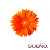 Sueño (Afro House) - KASHO ft. Fonseca