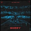 Alan Walker x ISÁK - Sorry (FLP)