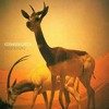 Kosheen, Filipe Guerra - Catch