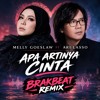 APA ARTINYA CINTA BREAKBEAT