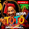Rosa_Toto - Fabio vergara 2026 Mshp FREEE