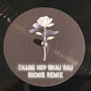 CHANG HOP NHAU DAU - RICHIE REMIX