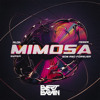 Mimosa ( Evert Evrain Edit )