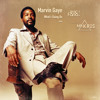 Marvin Gaye Whats going on kris e Eric