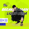 BREAKING AGAIN-LIQUID SILVA (DJ Ugi Mekti BKB Ed