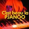 c'est beau la pjanoo (dj digi mashup)