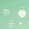 Sosumi Tribal House Loops Vol.2