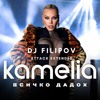 Kamelia - Vsichko dadoh