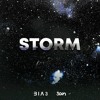 B1A3 & 3an - Storm
