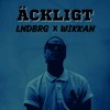 Ansiktet - Äckligt (LNDBRG
