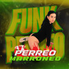 PERREO MARRONEO PACK FEBRERO 2026