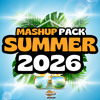 SUMMER VIBES 2026 MASHUP PACK