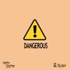 &SUM - Dangerous
