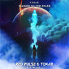 Talking To The Stars (Tokah, Red Pulse Remix)
