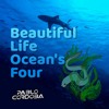 Beautiful Life