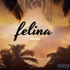 Felina (Gabe Pereira Remix)