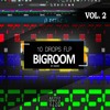 10 Bigroom Drop Melodies #2 MIDI (by DIGERZ)