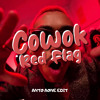 COWOK RED FLAG ( Anto Aone Edit )
