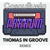 Cosculluela - Prrum ( Thomas In Groove Remix)