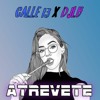 ATREVETE - CALLE 13 (FIESTERO REMIX DJLB)