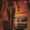 MEHBOOBA X WHERE YOU ARE