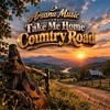 COUNTRY ROAD