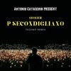 P SECONDIGLIANO (ANTONIO CATACCHIO TECHNO REMIX)