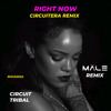RIGHT NOW (DJ MALE CIRCUITERA REMIX9 #FREE