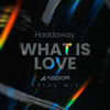 Haddaway - What is Love (Assor Pride Mix)