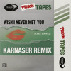 Tory - Wish I Never Met You (KARNASER Remix)