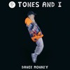 Tones and I x Vicetone & Tony Igy - Dance Monkey