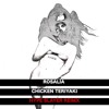 ROSALÍA - CHICKEN TERIYAKI (Hype Slayer Remix)