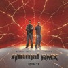 ANIMAL - Katseye ( Reload Br & ROZZINI)