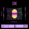 Tribute (SAK Remix)