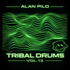 Tribal drums vol 13