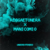 Reggaetonera X Manicomio