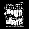 TURN DOWN FOR WHAT (EL DUSTY X WADE ROSS REMIX)