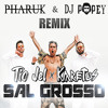 Sal Grosso (Pharuk & Dj Popey Remix)