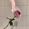 prxz Drumkit