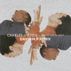 Would I Lie To You (David M.P Remix)