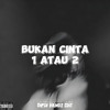 BUKAN CINTA 1 ATAU 2 - ( Dipsy Handz Edit )