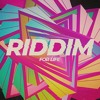 Riddim Dubstep FLP By Rider