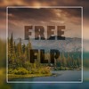 FREE PROGRESSIVE HOUSE FLP