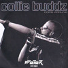 Collie Buddz - Come Around (WoTeR Remix 2025)