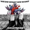 Cicatrices X We Do What We Want(Samulillo Remix)