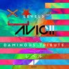 Levels (Daminous Tribute) - Avicii