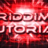 Riddim Project Als