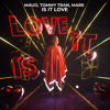 Is It Love (Extended Mix)