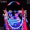 Tribe Music Pack Vol. 5 (Roger Grey)